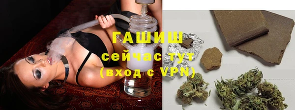 индика Вязники