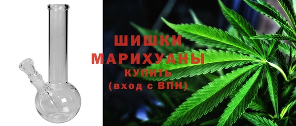 индика Вязники