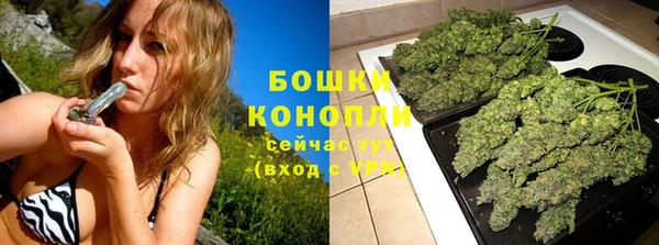 индика Вязники