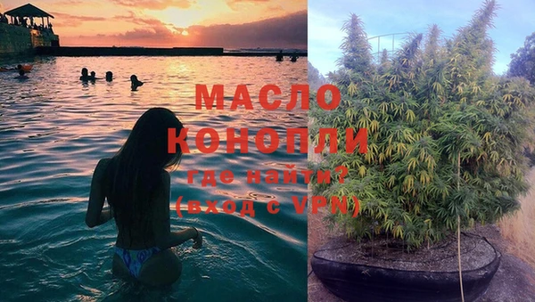 индика Вязники