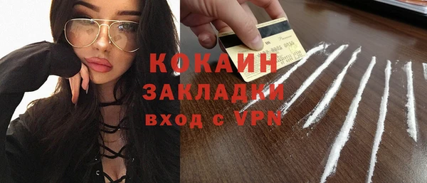 индика Вязники