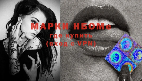 индика Вязники