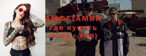 индика Вязники