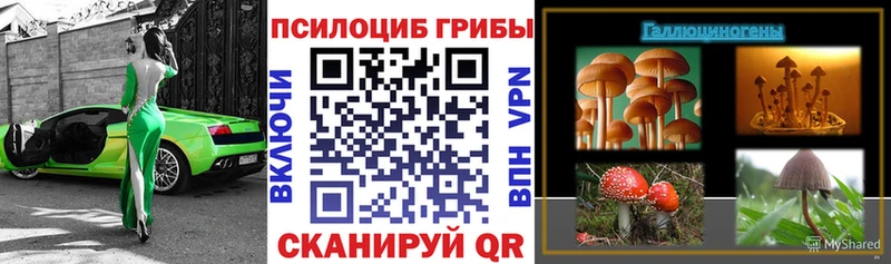 Псилоцибиновые грибы мицелий  Купить где  Сосенский 